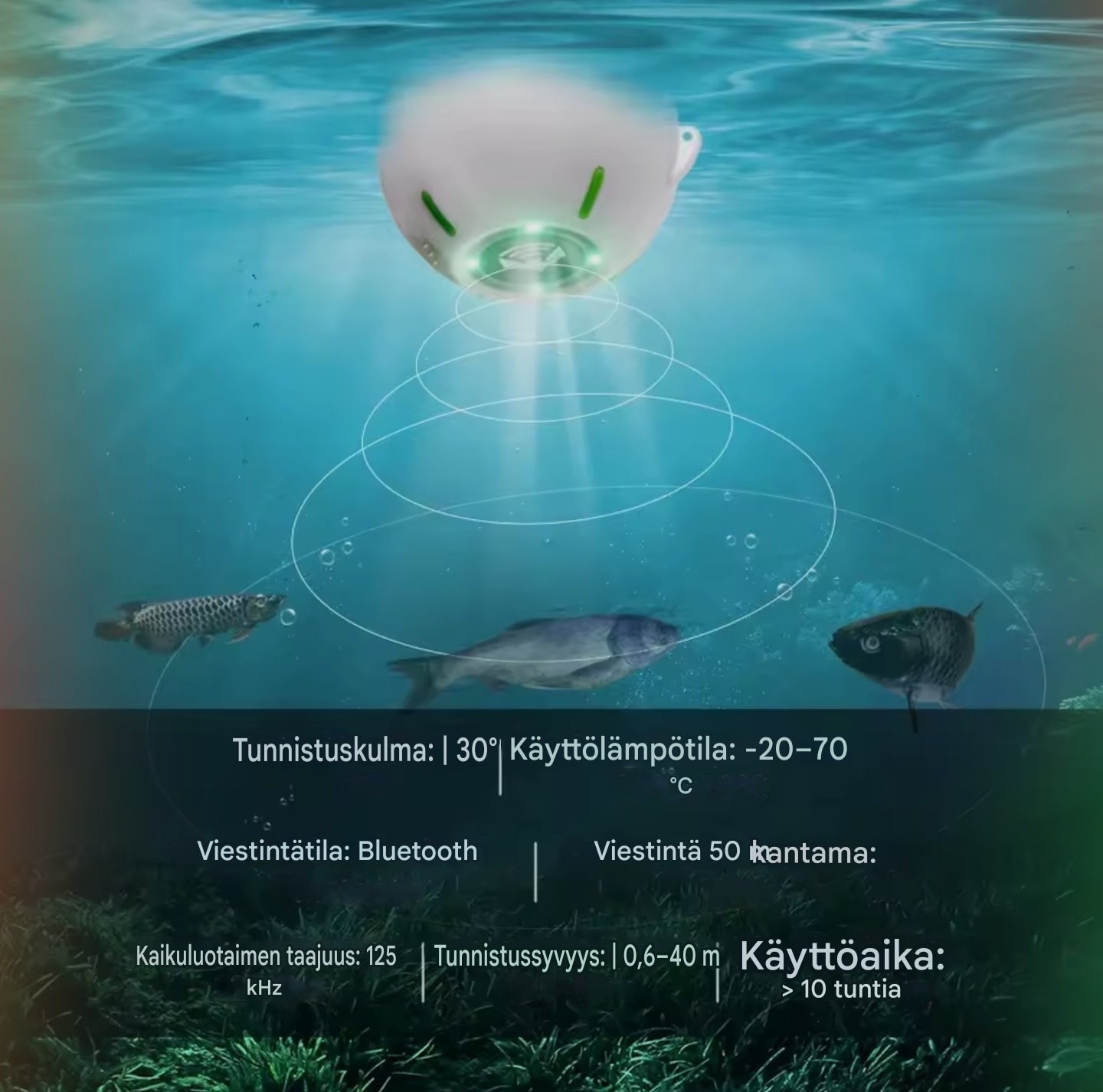 Kaikuluotain Android/iOS