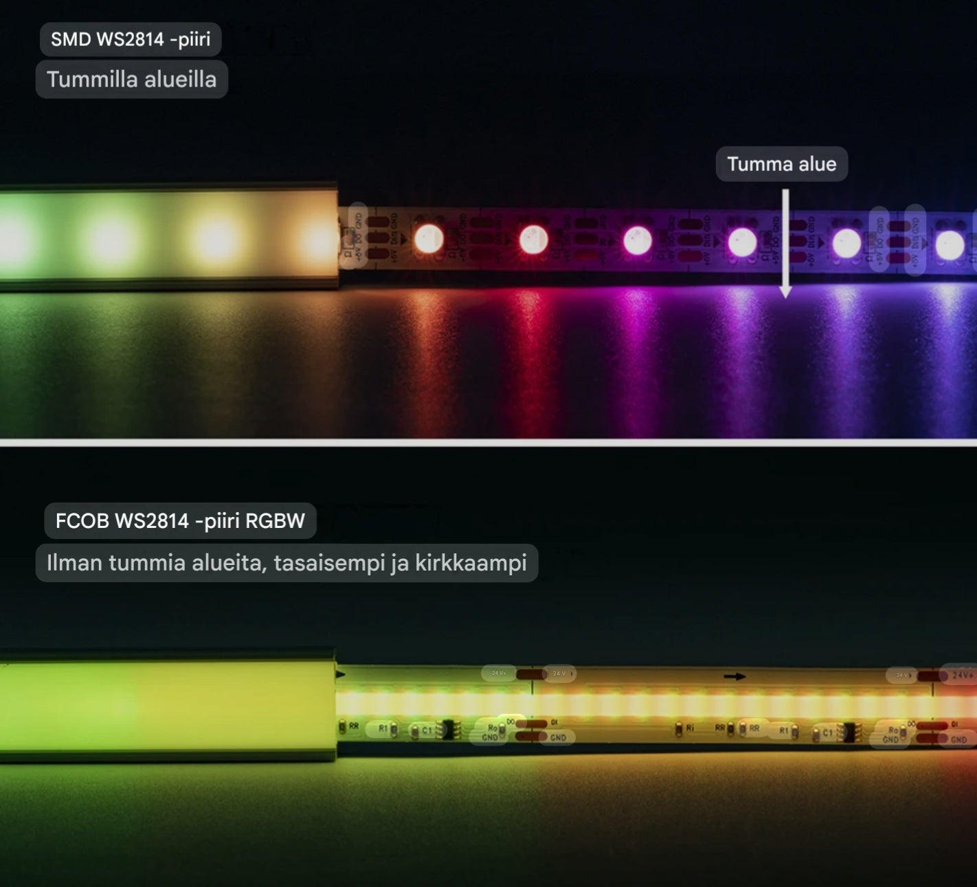 Premium LED-nauha BTF-Lighting FCOB RGBW 5m (Huipputiheä 896 led/m)